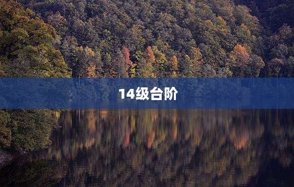 14级台阶