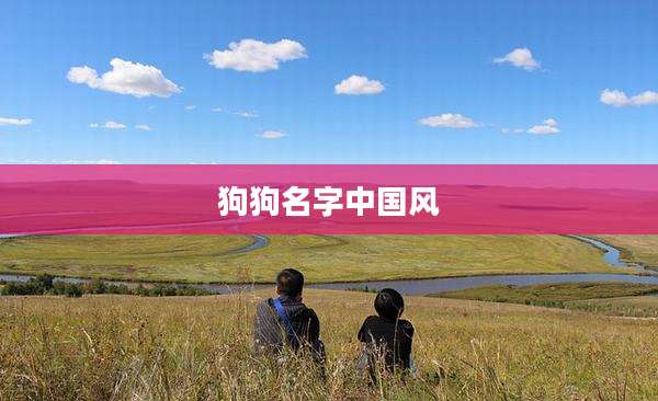 狗狗名字中国风