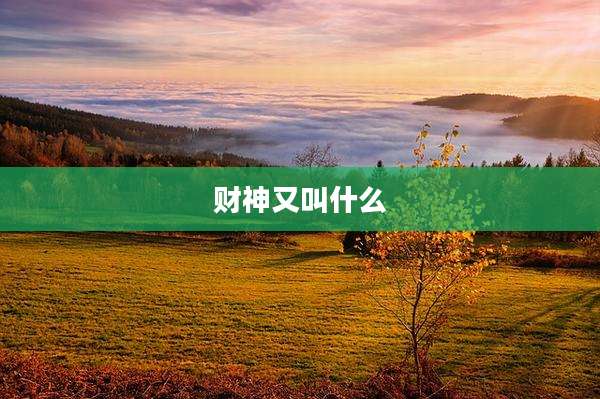 财神又叫什么