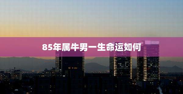 85年属牛男一生命运如何