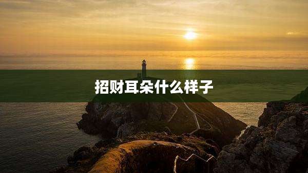 招财耳朵什么样子
