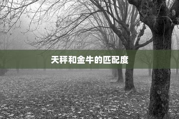 天秤和金牛的匹配度