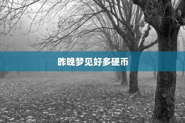 昨晚梦见好多硬币