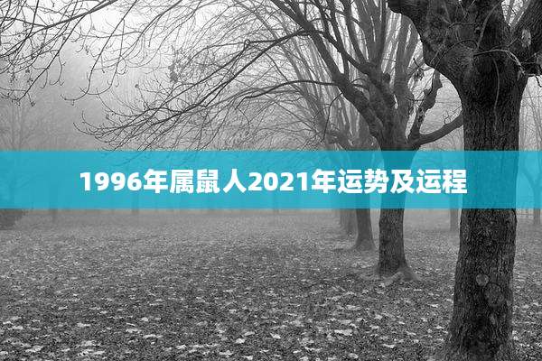 1996年属鼠人2021年运势及运程