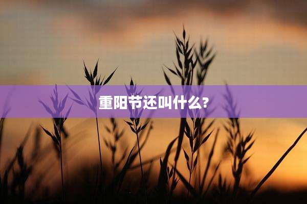重阳节还叫什么?
