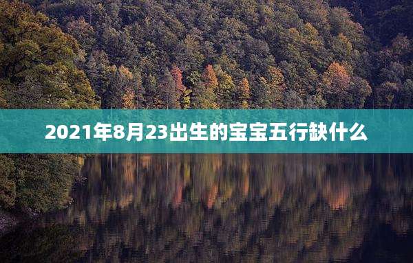 2021年8月23出生的宝宝五行缺什么