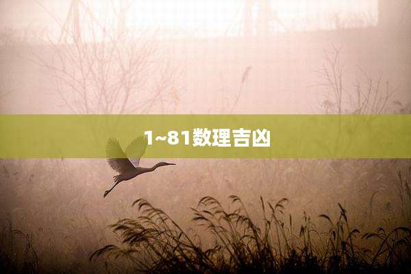 1~81数理吉凶