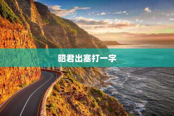 昭君出塞打一字
