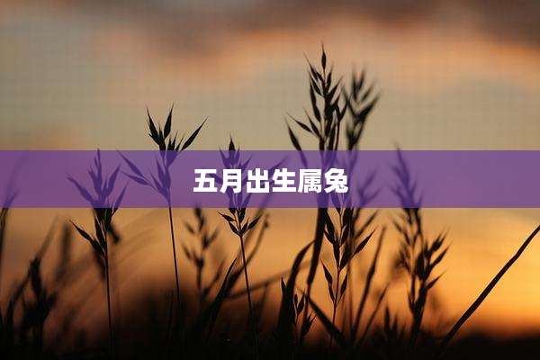 五月出生属兔