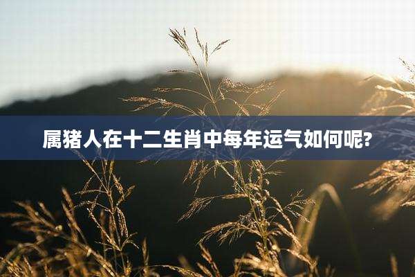 属猪人在十二生肖中每年运气如何呢?