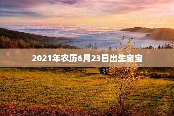 2021年农历6月23日出生宝宝