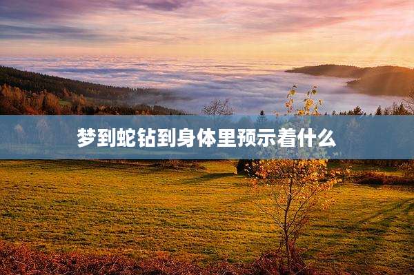 梦到蛇钻到身体里预示着什么