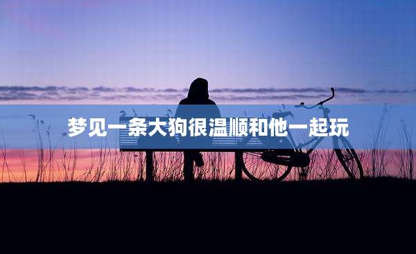 梦见一条大狗很温顺和他一起玩