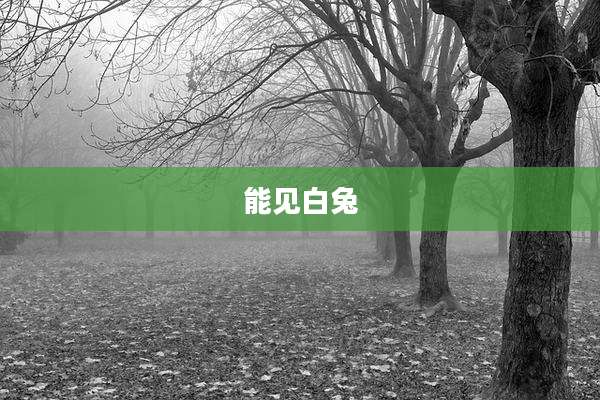 能见白兔