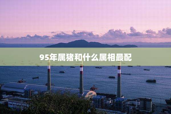 95年属猪和什么属相最配