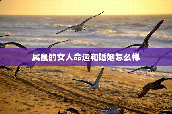 属鼠的女人命运和婚姻怎么样