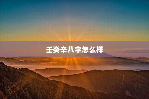 壬癸辛八字怎么样