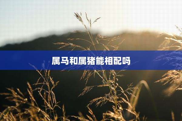 属马和属猪能相配吗