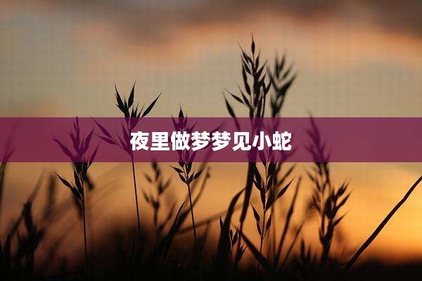 夜里做梦梦见小蛇