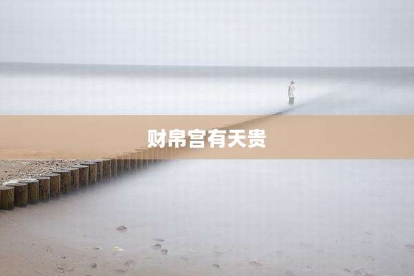 财帛宫有天贵