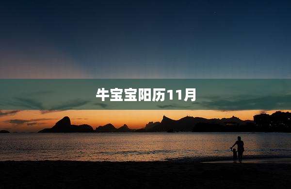 牛宝宝阳历11月