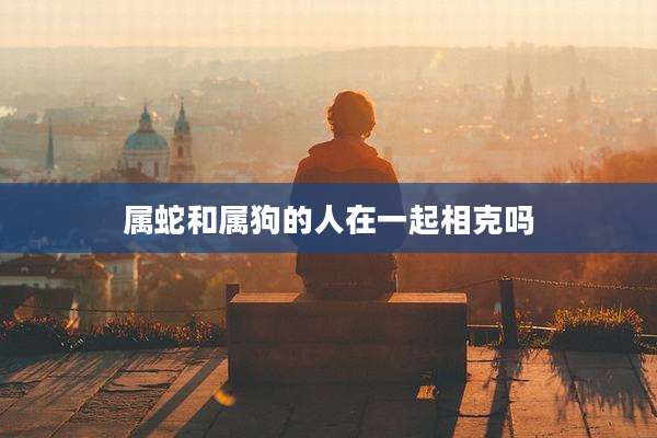 属蛇和属狗的人在一起相克吗