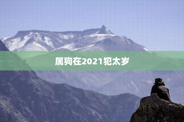 属狗在2021犯太岁