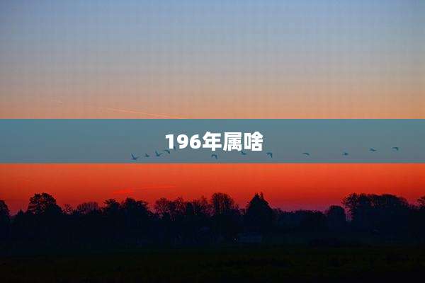 196年属啥