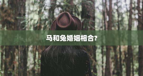 马和兔婚姻相合?