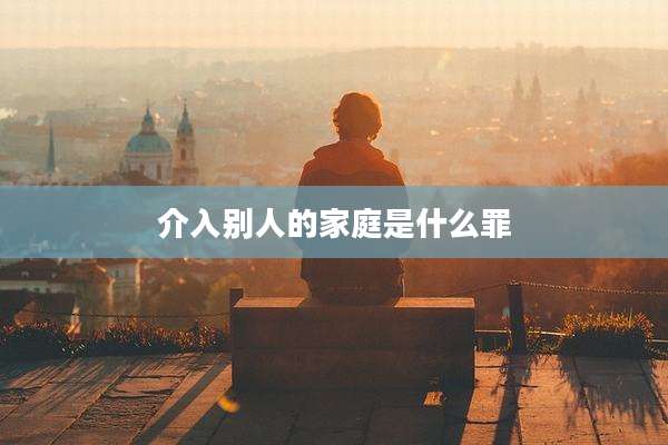 介入别人的家庭是什么罪