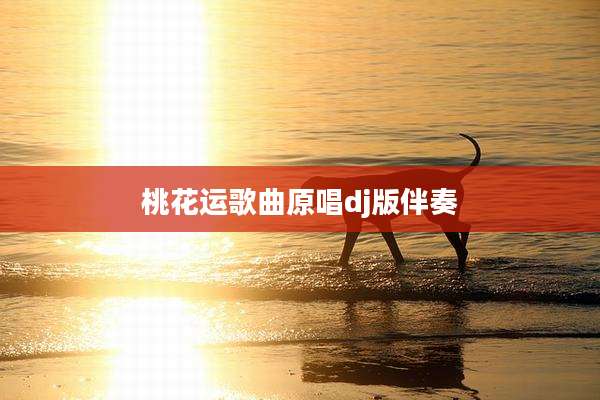 桃花运歌曲原唱dj版伴奏
