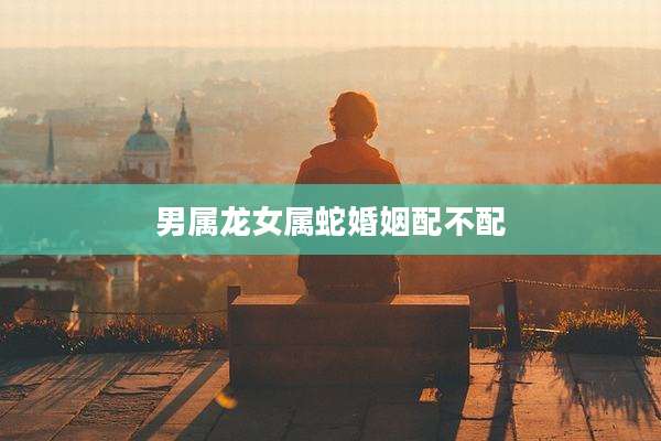 男属龙女属蛇婚姻配不配