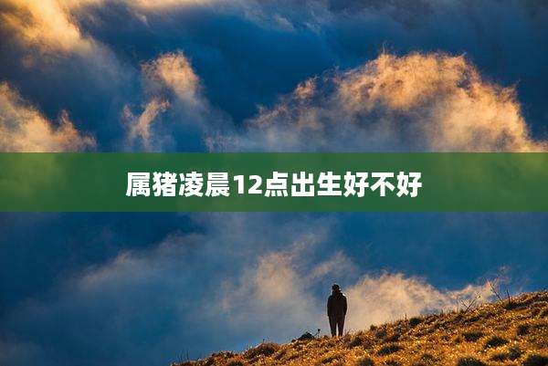 属猪凌晨12点出生好不好