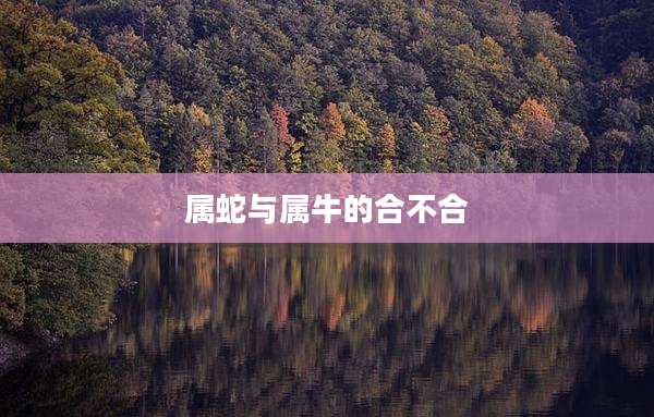 属蛇与属牛的合不合