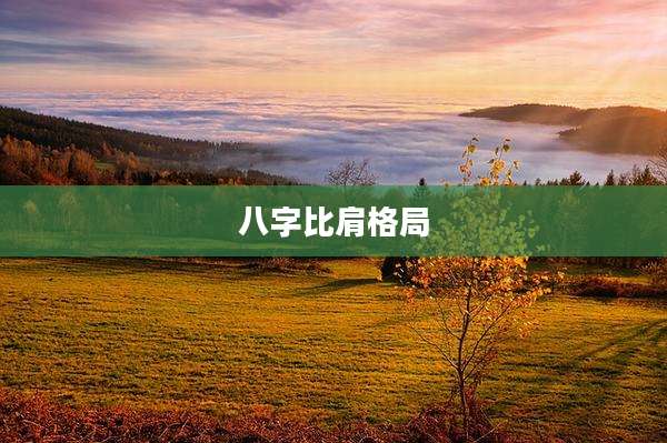 八字比肩格局