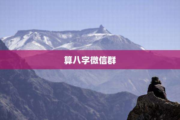 算八字微信群