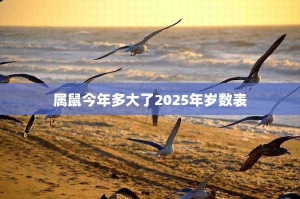 属鼠今年多大了2025年岁数表