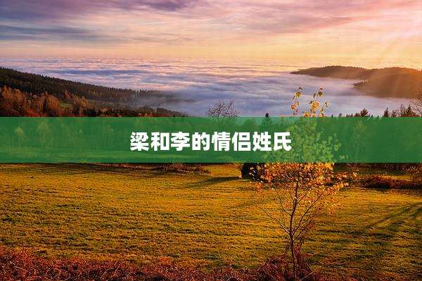 梁和李的情侣姓氏