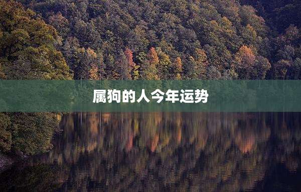属狗的人今年运势