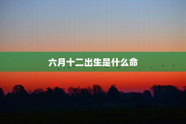 六月十二出生是什么命