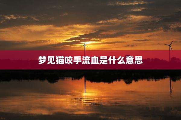 梦见猫咬手流血是什么意思