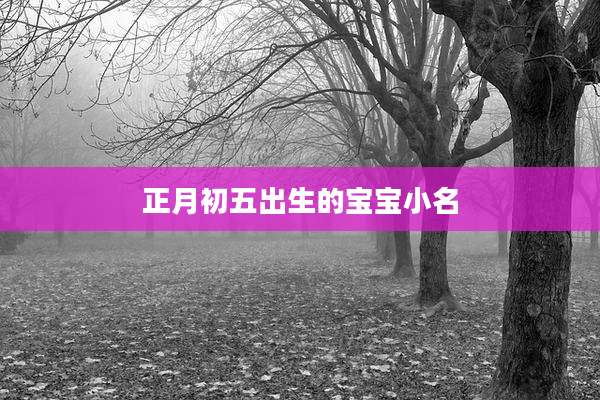 正月初五出生的宝宝小名