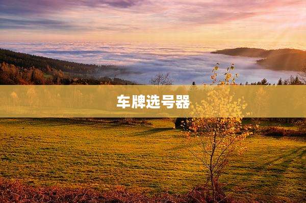 车牌选号器