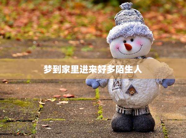 梦到家里进来好多陌生人