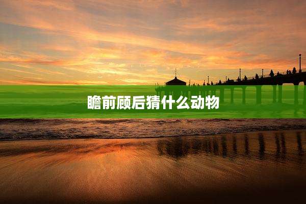瞻前顾后猜什么动物