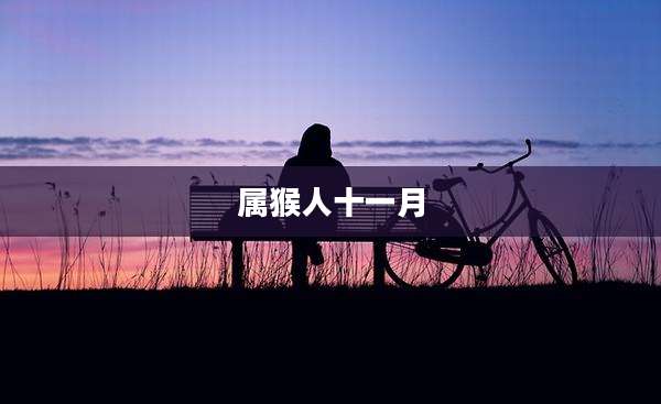 属猴人十一月