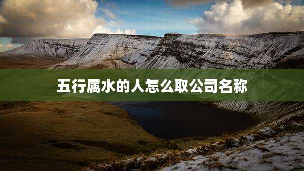 五行属水的人怎么取公司名称