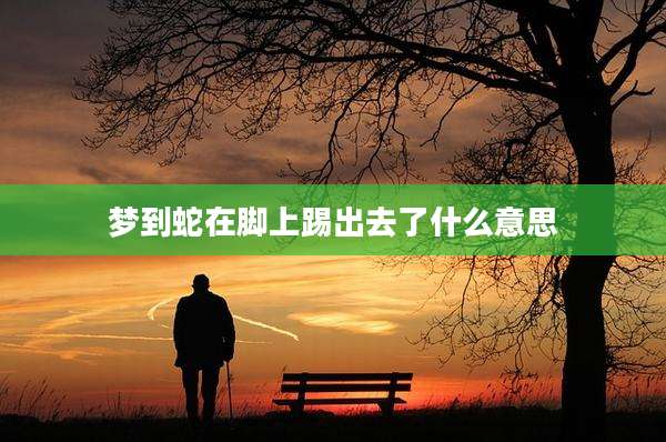 梦到蛇在脚上踢出去了什么意思