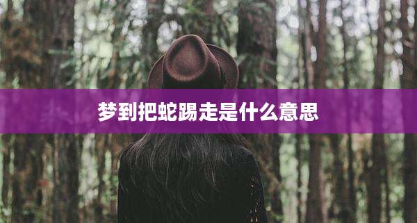 梦到把蛇踢走是什么意思