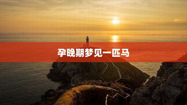 孕晚期梦见一匹马